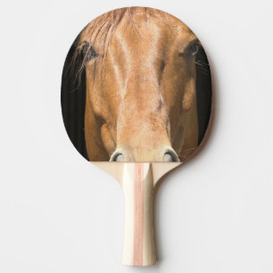 chestnut-horse-4 tischtennis schläger