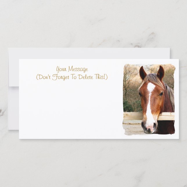 CHESTNUT HORSE CARD (Vorderseite)
