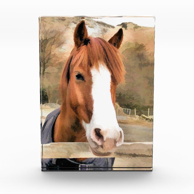 CHESTNUT HORSE FOTOBLOCK (Vorderseite)