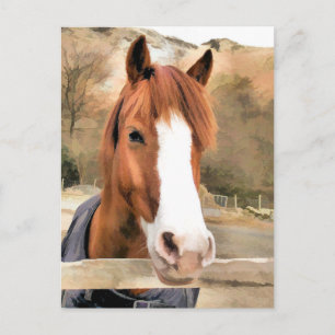 CHESTNUT HORSE POSTKARTE
