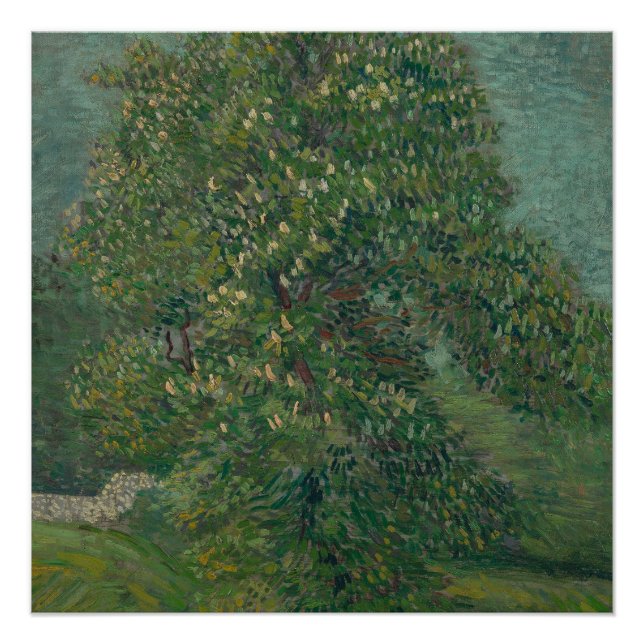 chestnut tree in bloom  poster (Vorderseite)
