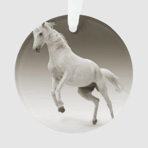 cheval