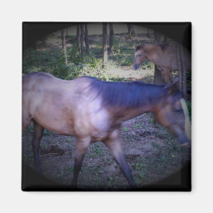 Cheval 2 aimant