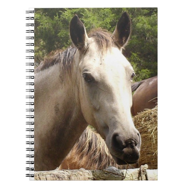 Cheval 4 Carnets (Devant)