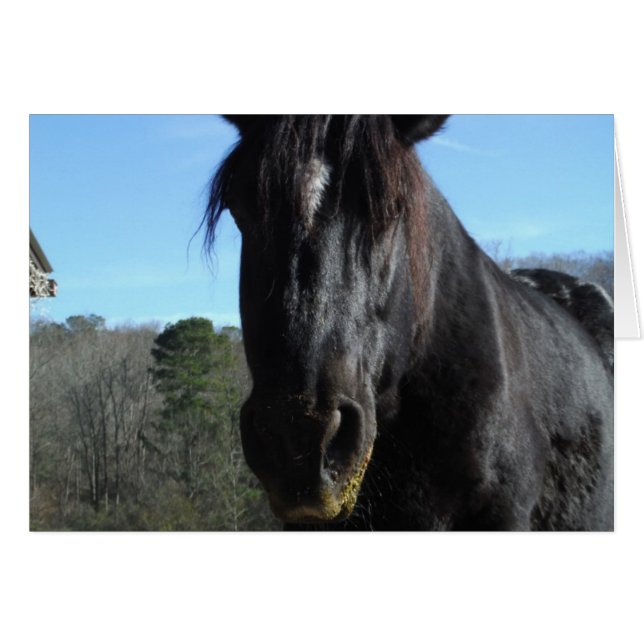Cheval à bascule noir secouru (Devant horizontal)