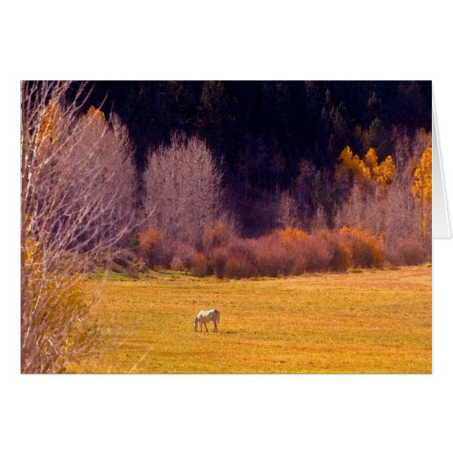 Cheval À L'Automne I (Devant horizontal)