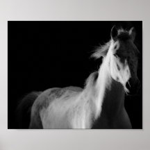 cheval, affiche photo d'art