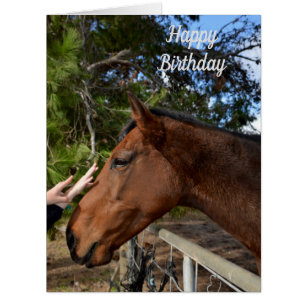 Cheval Amis Pour Toujours, Grande Carte Anniversai