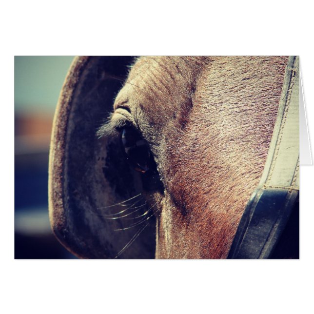 Cheval Amish (Devant horizontal)