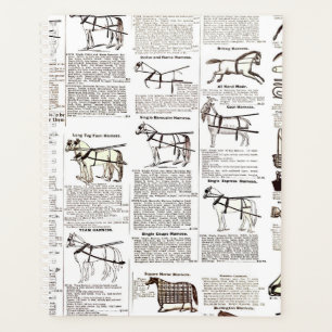 Cheval Antique Publicité Journal Art