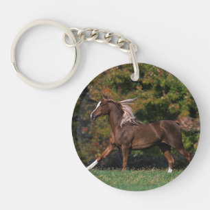 Cheval arabe fonctionnant dans le domaine herbeux