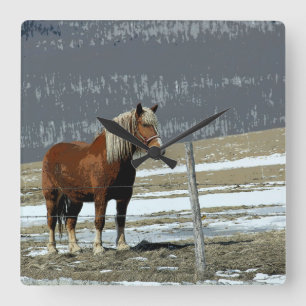 Cheval Belge En Paddock Horloge Mur