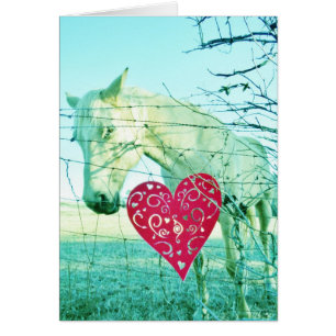 Cheval Blanc Coeur Rouge Saint Valentin
