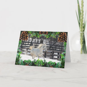 Cheval blanc dans la carte de Noël neige