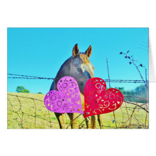 Cheval blanc et Brown Valentine Coeurs