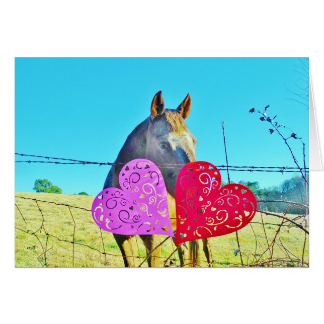 Cheval blanc et Brown Valentine Coeurs (Devant horizontal)