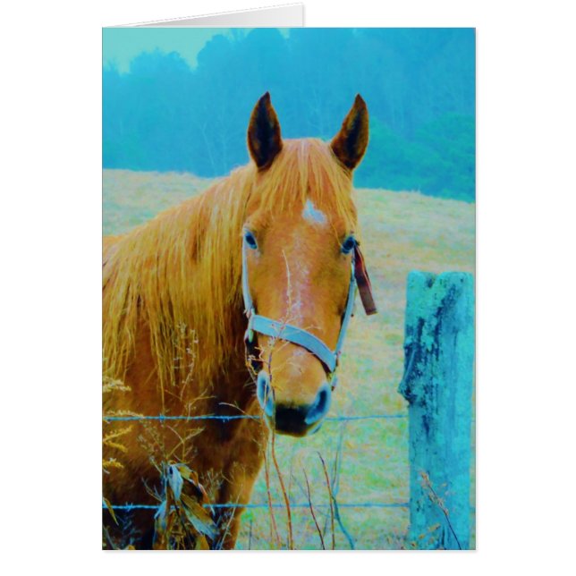 Cheval bleu Denim teinté (Devant)