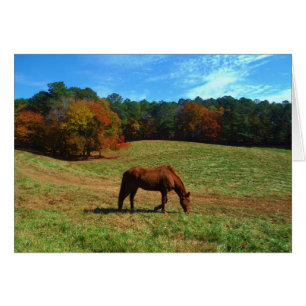 Cheval Brown rouge, arbres de chute, ciel bleu