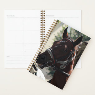 Cheval Brown Stylisé Smiling Head Sketch