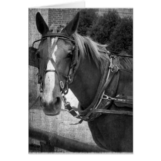 Cheval Buggy à la poste Hitching