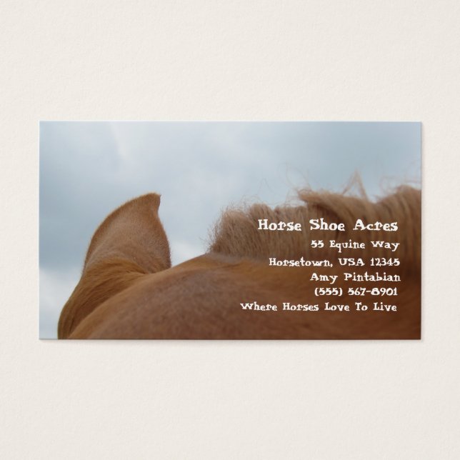 Cheval Chaussure Acres Sorrel Cheval (Devant)