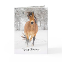 Cheval courir en neige Carte de vacances pliée