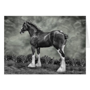 Cheval de fer Steele