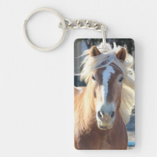 Cheval de Haflinger