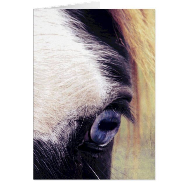 Cheval de l'oeil bleu (Devant)