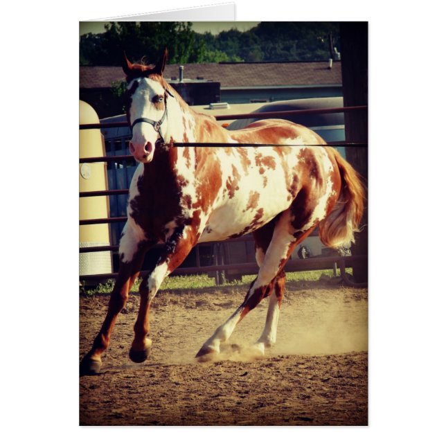 Cheval de peinture (Devant)