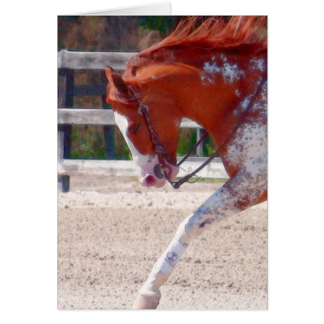 Cheval de peinture (Devant)