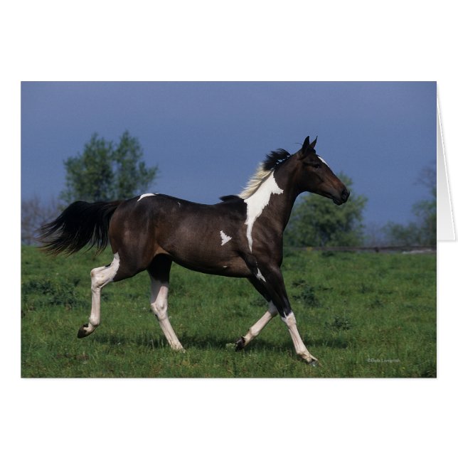 Cheval de peinture 2 (Devant horizontal)