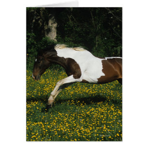 Cheval de peinture courant dans le champ de fleurs