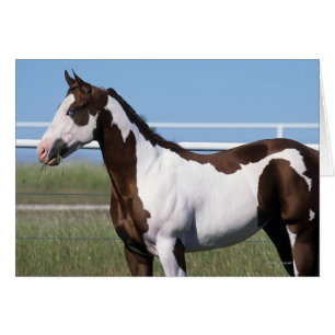 Cheval de peinture debout