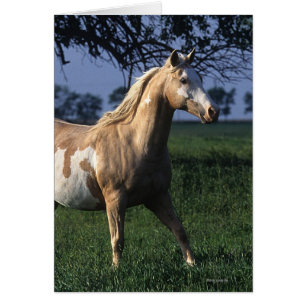 Cheval de peinture debout 2