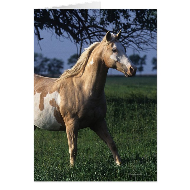 Cheval de peinture debout 2 (Devant)