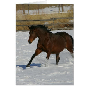 Cheval de pur sang fonctionnant dans la neige