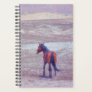 Cheval du désert P8640