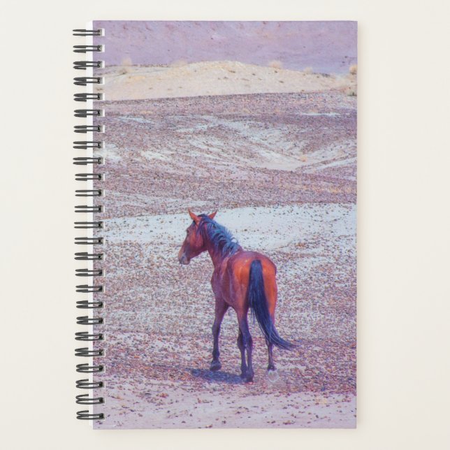 Cheval du désert P8640 (Devant)