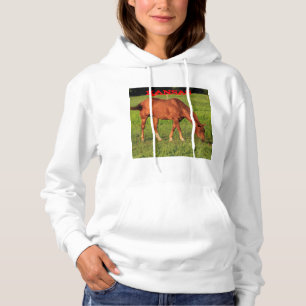Cheval du Kansas dans un pâturage Sweat - shirt à 