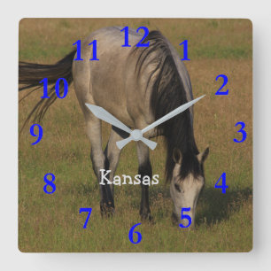 Cheval du Kansas dans une horloge murale de pâtura
