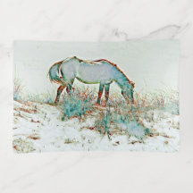 Cheval dune sauvage pâturage trinket plateaux