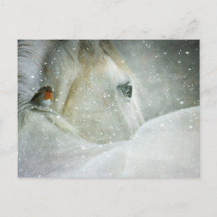 cheval en hiver carte postale