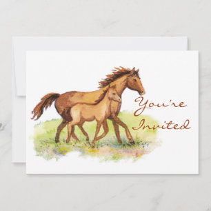 Cheval équestre et Invitation de poulain
