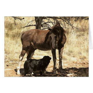 Cheval et chien