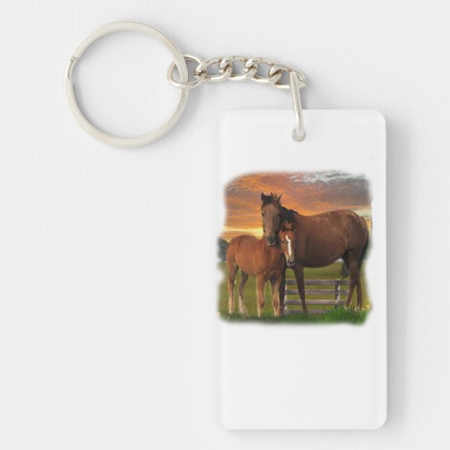 Cheval et poney (Devant)