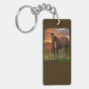 Cheval et poney