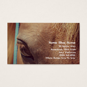 Cheval Faux Vintage Sorrel