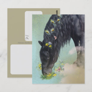 Cheval Frison - Carte postale