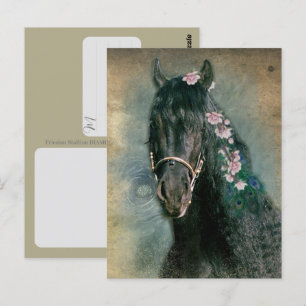 Cheval Frison - Carte postale